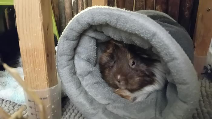 Klicke auf die Grafik fr eine grere Ansicht

Name:	20250109_044248.jpg
Hits:	0
Gre:	81,2 KB
ID:	211525