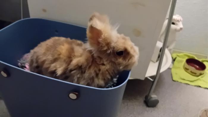 Klicke auf die Grafik fr eine grere Ansicht

Name:	20250113_063407.jpg
Hits:	1
Gre:	56,4 KB
ID:	211528