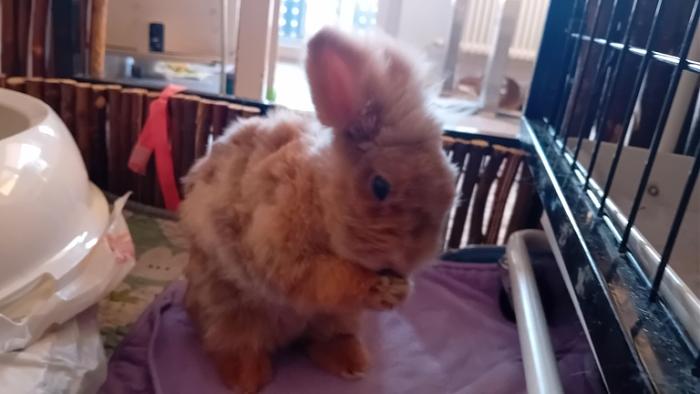 Klicke auf die Grafik fr eine grere Ansicht

Name:	20250113_090151.jpg
Hits:	0
Gre:	81,4 KB
ID:	211531