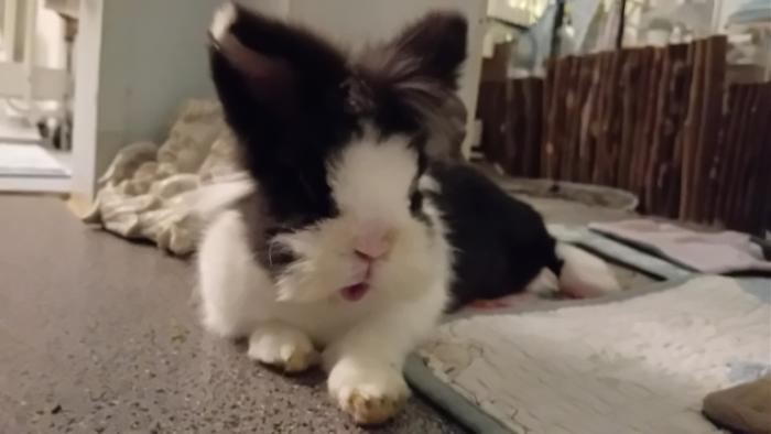 Klicke auf die Grafik fr eine grere Ansicht

Name:	20250109_034733.jpg
Hits:	0
Gre:	63,7 KB
ID:	211533