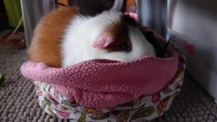 Klicke auf die Grafik fr eine grere Ansicht

Name:	20250118_092825.jpg
Hits:	0
Gre:	72,8 KB
ID:	211626