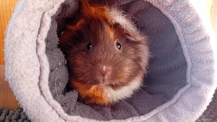 Klicke auf die Grafik fr eine grere Ansicht

Name:	20250114_125451.jpg
Hits:	0
Gre:	112,0 KB
ID:	211627