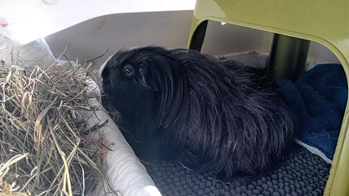 Klicke auf die Grafik fr eine grere Ansicht

Name:	20250114_125945.jpg
Hits:	0
Gre:	123,8 KB
ID:	211629