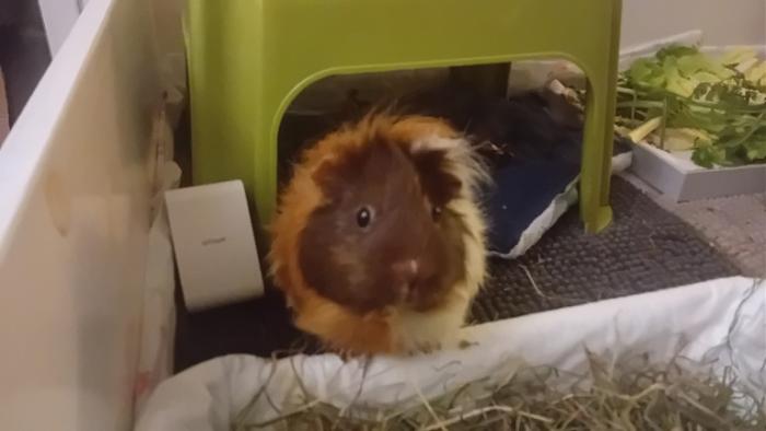 Klicke auf die Grafik fr eine grere Ansicht

Name:	20250114_015613.jpg
Hits:	0
Gre:	69,4 KB
ID:	211630