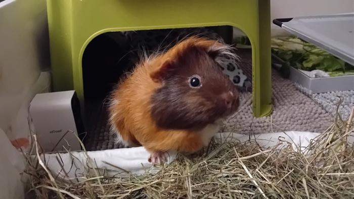 Klicke auf die Grafik fr eine grere Ansicht

Name:	20250123_043714.jpg
Hits:	0
Gre:	110,8 KB
ID:	211778