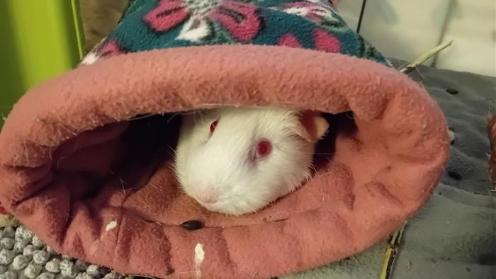 Klicke auf die Grafik fr eine grere Ansicht

Name:	20250121_040057.jpg
Hits:	0
Gre:	87,6 KB
ID:	211779