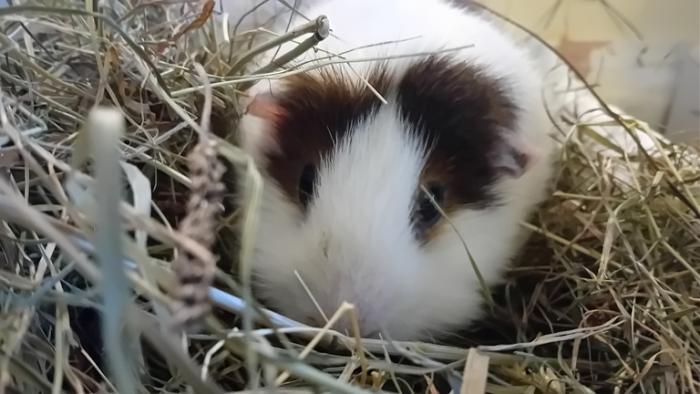 Klicke auf die Grafik fr eine grere Ansicht

Name:	20250126_082500.jpg
Hits:	0
Gre:	100,9 KB
ID:	211780