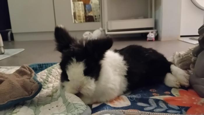 Klicke auf die Grafik fr eine grere Ansicht

Name:	20250123_040934.jpg
Hits:	0
Gre:	68,5 KB
ID:	211785