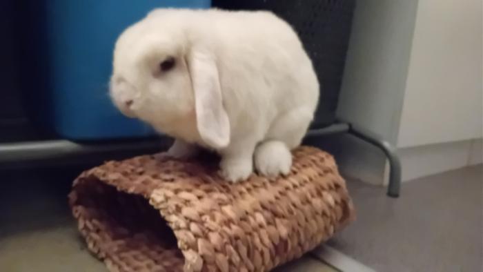 Klicke auf die Grafik fr eine grere Ansicht

Name:	20250120_195230.jpg
Hits:	0
Gre:	54,5 KB
ID:	211788