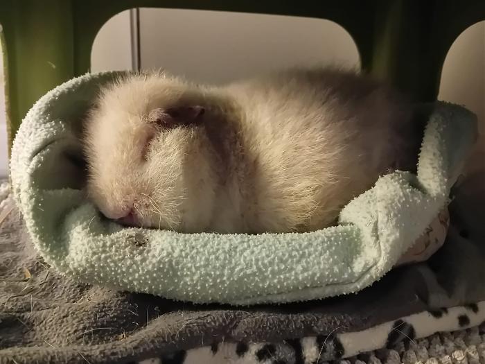 Klicke auf die Grafik fr eine grere Ansicht

Name:	IMG-20250202-WA0037.jpg
Hits:	0
Gre:	206,9 KB
ID:	211941