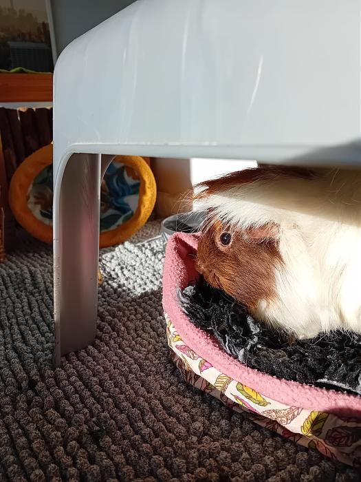 Klicke auf die Grafik fr eine grere Ansicht

Name:	IMG-20250202-WA0025.jpg
Hits:	0
Gre:	302,9 KB
ID:	211942