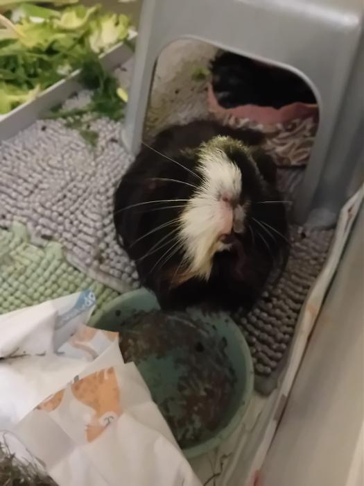 Klicke auf die Grafik fr eine grere Ansicht

Name:	IMG-20250202-WA0018.jpg
Hits:	0
Gre:	147,6 KB
ID:	211944