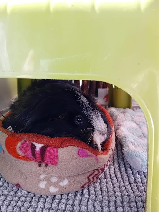 Klicke auf die Grafik fr eine grere Ansicht

Name:	IMG-20250202-WA0012.jpg
Hits:	0
Gre:	239,4 KB
ID:	211947