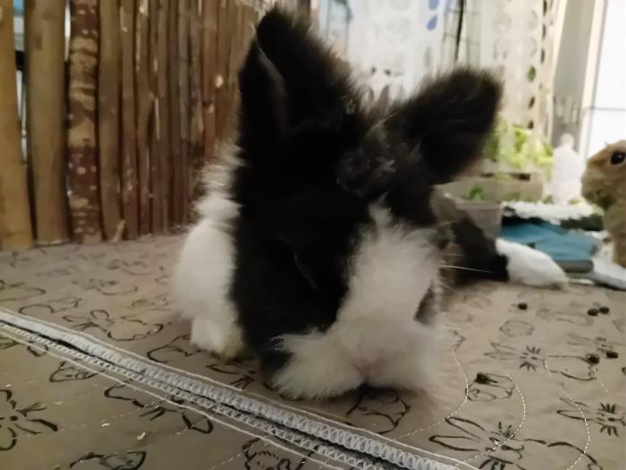 Klicke auf die Grafik fr eine grere Ansicht

Name:	IMG-20250202-WA0040.jpg
Hits:	0
Gre:	154,6 KB
ID:	211948