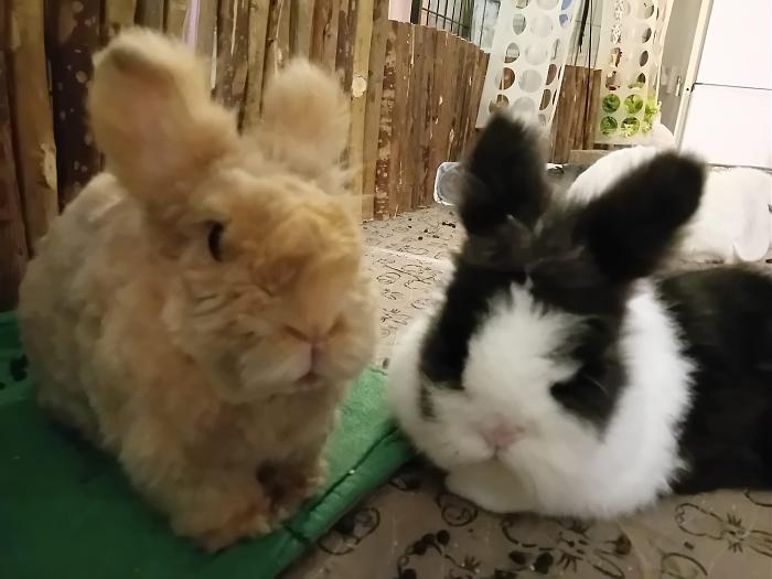 Klicke auf die Grafik fr eine grere Ansicht

Name:	IMG-20250202-WA0036.jpg
Hits:	0
Gre:	159,1 KB
ID:	211949