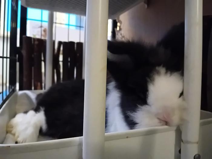 Klicke auf die Grafik fr eine grere Ansicht

Name:	IMG-20250202-WA0035.jpg
Hits:	0
Gre:	122,0 KB
ID:	211950