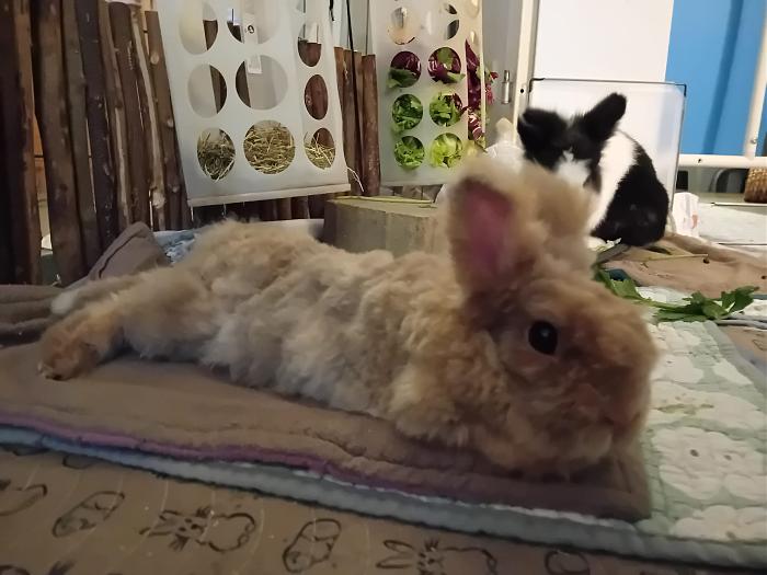 Klicke auf die Grafik fr eine grere Ansicht

Name:	IMG-20250202-WA0034.jpg
Hits:	0
Gre:	189,3 KB
ID:	211951