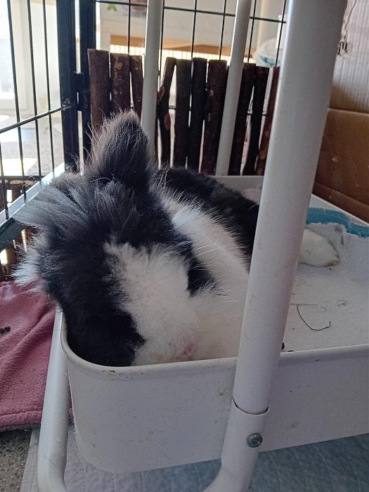 Klicke auf die Grafik fr eine grere Ansicht

Name:	IMG-20250202-WA0010.jpg
Hits:	0
Gre:	246,5 KB
ID:	211956