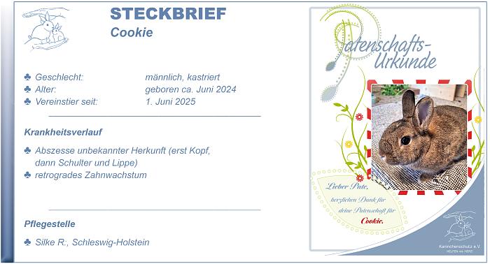 Klicke auf die Grafik fr eine grere Ansicht

Name:	Steckbrief Cookie.jpg
Hits:	0
Gre:	134,9 KB
ID:	214018