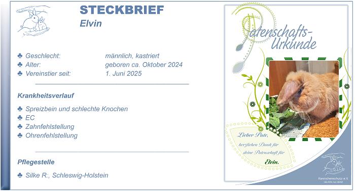 Klicke auf die Grafik fr eine grere Ansicht

Name:	Steckbrief Elvin.jpg
Hits:	0
Gre:	124,0 KB
ID:	214020
