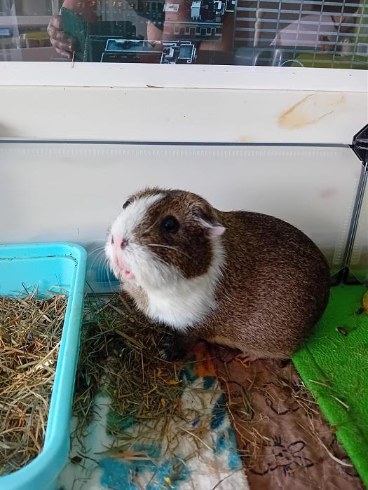 Klicke auf die Grafik fr eine grere Ansicht

Name:	IMG-20250706-WA0066.jpg
Hits:	0
Gre:	286,9 KB
ID:	214158