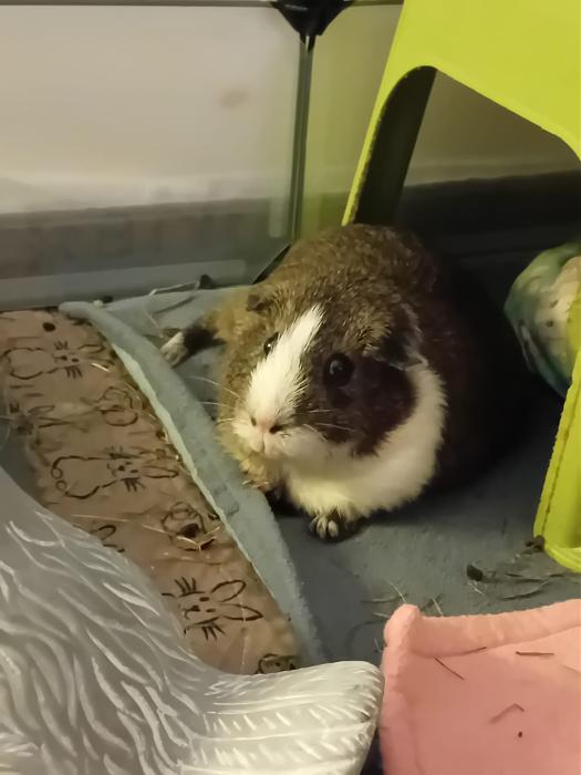 Klicke auf die Grafik fr eine grere Ansicht

Name:	IMG-20250706-WA0051.jpg
Hits:	0
Gre:	144,2 KB
ID:	214161