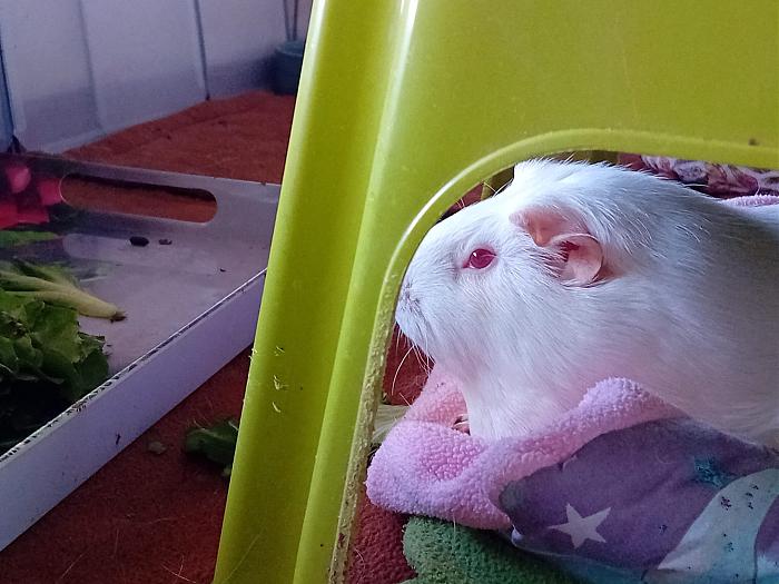 Klicke auf die Grafik fr eine grere Ansicht

Name:	IMG-20250706-WA0054.jpg
Hits:	1
Gre:	275,8 KB
ID:	214162