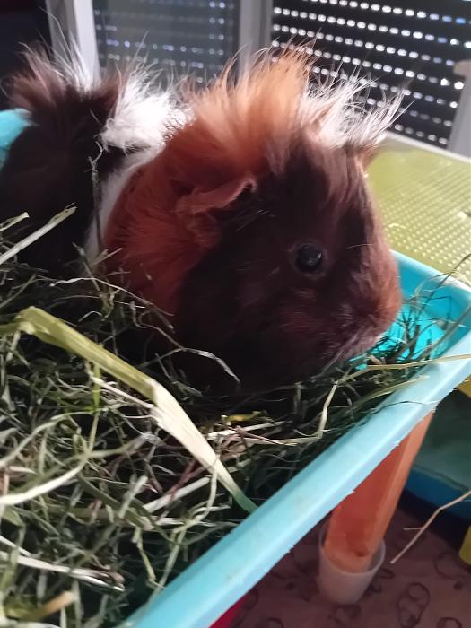 Klicke auf die Grafik fr eine grere Ansicht

Name:	IMG-20250706-WA0046.jpg
Hits:	0
Gre:	241,4 KB
ID:	214163