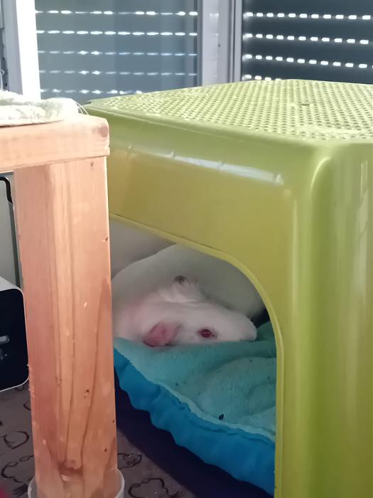 Klicke auf die Grafik fr eine grere Ansicht

Name:	IMG-20250706-WA0043.jpg
Hits:	1
Gre:	139,8 KB
ID:	214164