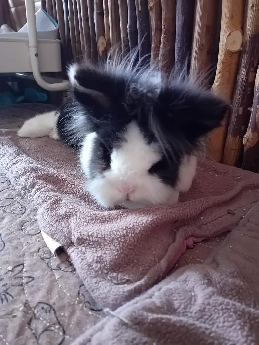 Klicke auf die Grafik fr eine grere Ansicht

Name:	IMG-20250706-WA0052.jpg
Hits:	0
Gre:	265,8 KB
ID:	214167