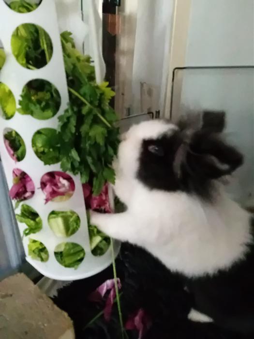 Klicke auf die Grafik fr eine grere Ansicht

Name:	IMG-20250706-WA0047.jpg
Hits:	0
Gre:	145,9 KB
ID:	214168