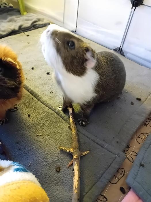 Klicke auf die Grafik fr eine grere Ansicht

Name:	IMG-20250713-WA0070.jpg
Hits:	0
Gre:	237,1 KB
ID:	214228