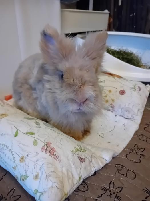 Klicke auf die Grafik fr eine grere Ansicht

Name:	IMG-20250713-WA0061.jpg
Hits:	0
Gre:	158,2 KB
ID:	214232