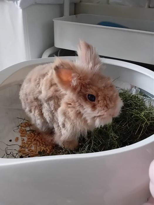 Klicke auf die Grafik fr eine grere Ansicht

Name:	IMG-20250713-WA0058.jpg
Hits:	0
Gre:	164,6 KB
ID:	214235