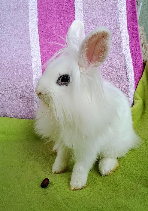 Klicke auf die Grafik für eine größere Ansicht
Name:	IMG_20250710_121054677~2.jpg
Hits:	0
Größe:	303,5 KB
ID:	214276