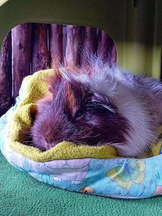 Klicke auf die Grafik fr eine grere Ansicht

Name:	IMG-20250720-WA0081.jpg
Hits:	0
Gre:	322,0 KB
ID:	214336