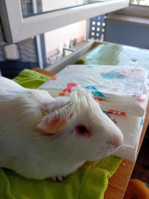 Klicke auf die Grafik fr eine grere Ansicht

Name:	IMG-20250727-WA0085.jpg
Hits:	0
Gre:	157,2 KB
ID:	214416