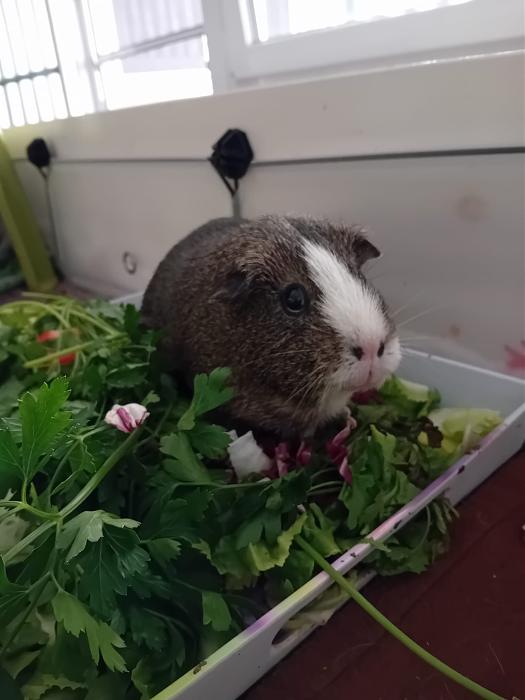 Klicke auf die Grafik fr eine grere Ansicht

Name:	IMG-20250727-WA0086.jpg
Hits:	0
Gre:	157,3 KB
ID:	214418