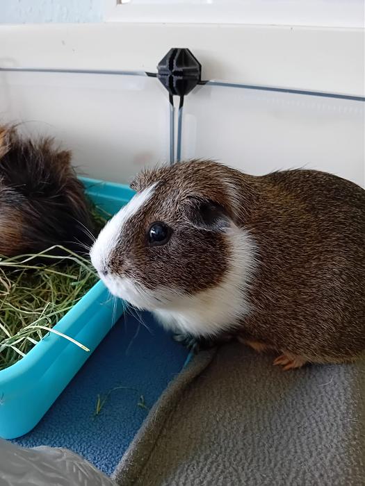 Klicke auf die Grafik fr eine grere Ansicht

Name:	IMG-20250727-WA0079.jpg
Hits:	0
Gre:	284,8 KB
ID:	214419