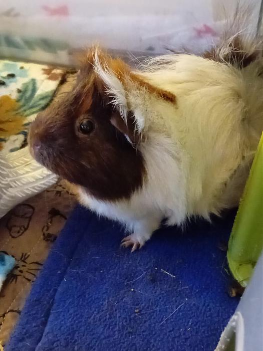 Klicke auf die Grafik fr eine grere Ansicht

Name:	IMG-20250803-WA0067.jpg
Hits:	0
Gre:	213,5 KB
ID:	214476