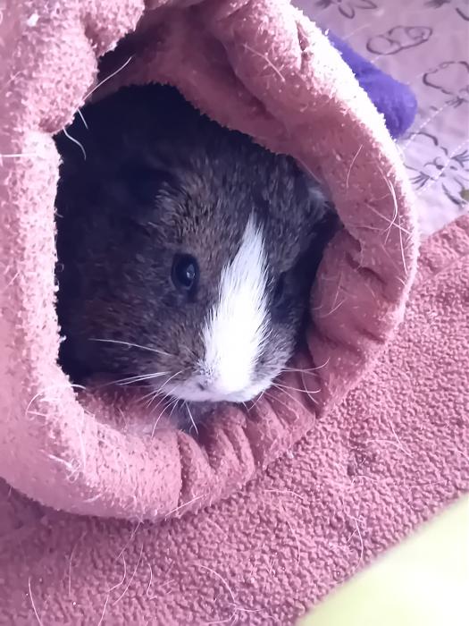 Klicke auf die Grafik fr eine grere Ansicht

Name:	IMG-20250803-WA0068.jpg
Hits:	0
Gre:	237,4 KB
ID:	214478