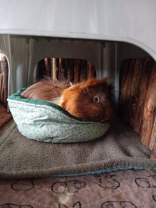 Klicke auf die Grafik fr eine grere Ansicht

Name:	IMG-20250803-WA0056.jpg
Hits:	0
Gre:	292,8 KB
ID:	214479