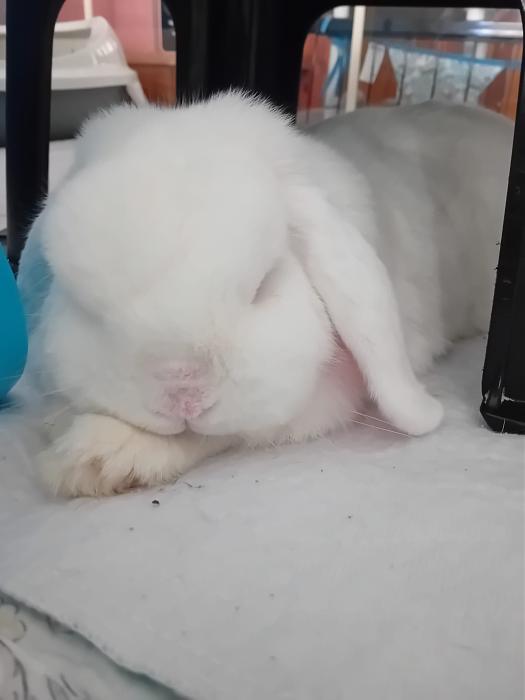 Klicke auf die Grafik fr eine grere Ansicht

Name:	IMG-20250810-WA0079.jpg
Hits:	0
Gre:	103,5 KB
ID:	214502