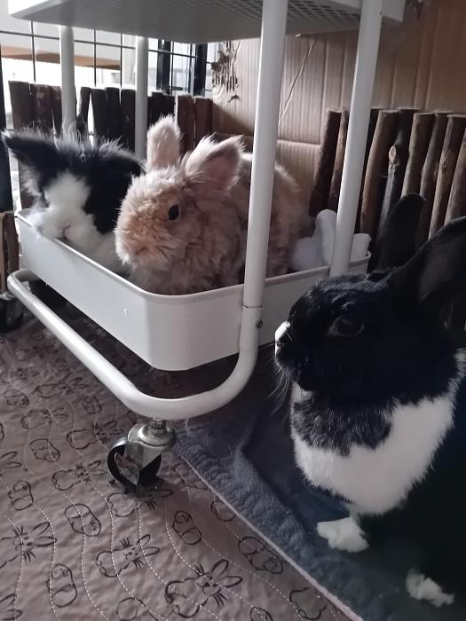 Klicke auf die Grafik fr eine grere Ansicht

Name:	IMG-20250817-WA0059.jpg
Hits:	0
Gre:	209,0 KB
ID:	214553