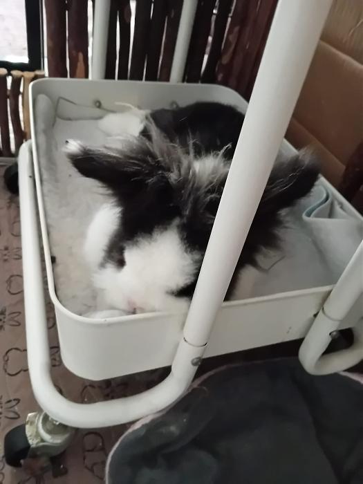 Klicke auf die Grafik fr eine grere Ansicht

Name:	IMG-20250817-WA0056.jpg
Hits:	1
Gre:	144,9 KB
ID:	214554