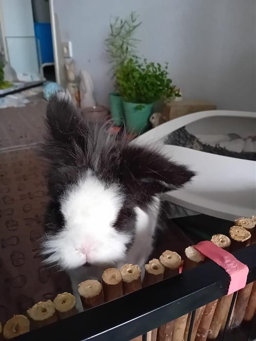 Klicke auf die Grafik fr eine grere Ansicht

Name:	IMG-20250817-WA0057.jpg
Hits:	0
Gre:	175,3 KB
ID:	214555