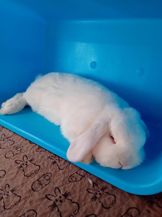 Klicke auf die Grafik fr eine grere Ansicht

Name:	IMG-20250817-WA0054.jpg
Hits:	0
Gre:	135,6 KB
ID:	214556