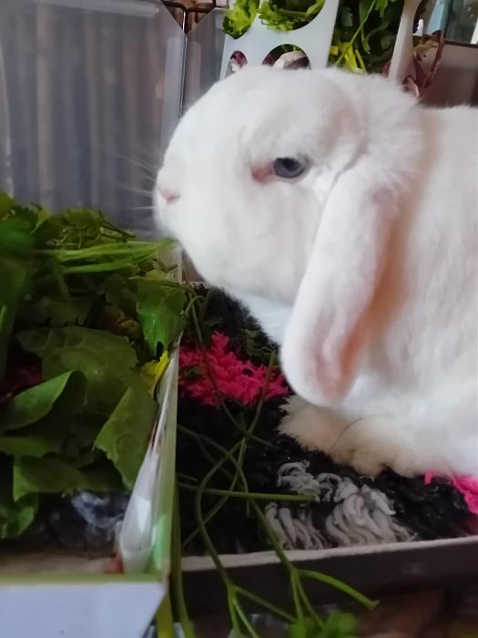 Klicke auf die Grafik fr eine grere Ansicht

Name:	IMG-20250817-WA0051.jpg
Hits:	0
Gre:	145,2 KB
ID:	214558