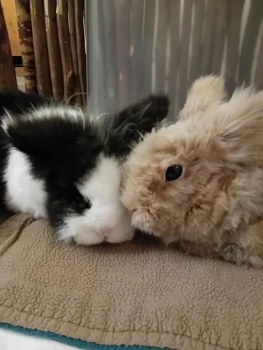 Klicke auf die Grafik fr eine grere Ansicht

Name:	IMG-20250817-WA0050.jpg
Hits:	0
Gre:	176,5 KB
ID:	214560