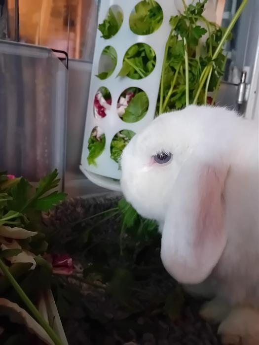 Klicke auf die Grafik fr eine grere Ansicht

Name:	IMG-20250824-WA0101.jpg
Hits:	0
Gre:	95,3 KB
ID:	214613